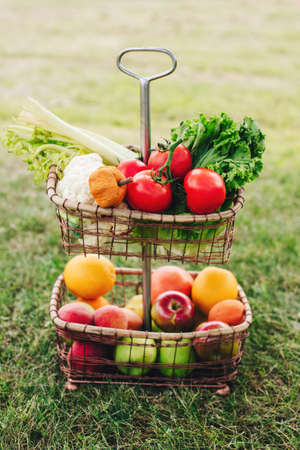 Closeup still life of ripe colorful vegetables and fruits in basket rack outside on grass on summer day. Autumn fall harvest.の写真素材