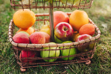 Closeup still life of ripe fruits in basket rack outside on grass on summer day. Autumn fall harvest.の写真素材