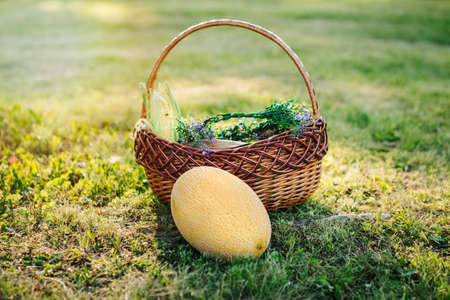 Closeup still life of ripe colorful vegetables and fruits in basket outside on grass on summer day....