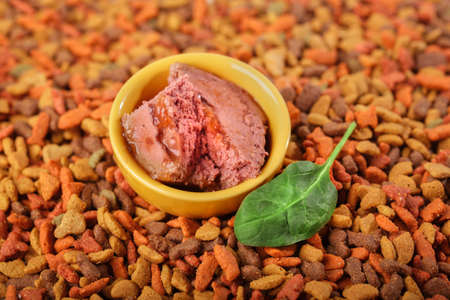 Canned wet pet raw food meat in cute yellow bowl with green natural leaf beside it and colorful cat dog food in granules on backgroundの写真素材