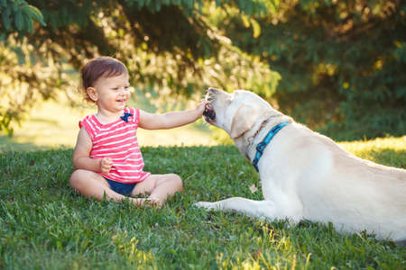 Portrait of cute adorable little Caucasian European baby girl sitting with dog in park outside. Child feeding animal domestic pet. Happy childhood conceptの写真素材