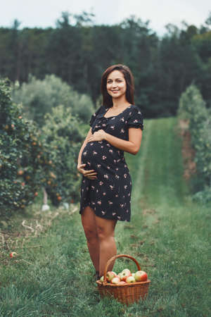 Happy healthy pregnancy. Portrait of pregnant young brunette Caucasian woman on apple farm with...