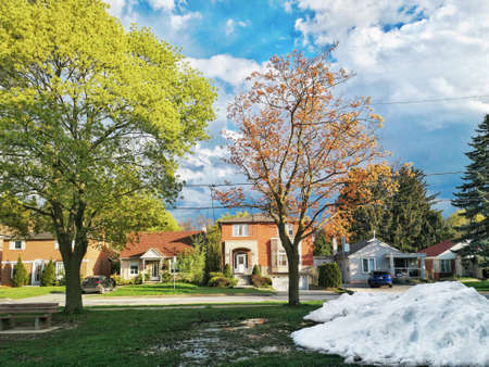 Landscape nature seasonal view of blooming trees melting snow snowbank with water puddles on earth ground. Sunny spring inter-season warm day with blue sky, white clouds and green grass.の写真素材