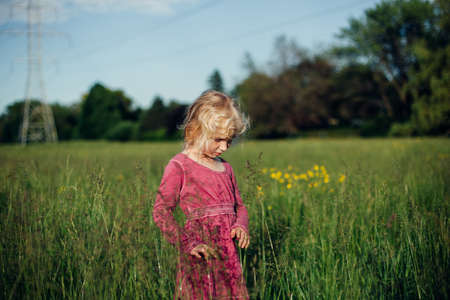 Cute adorable beautiful preschool Caucasian girl walking in tall high grass on meadow at sunset. Happy child kid enjoying summer. Lifestyle authentic childhood. Village rustic rural life.の写真素材