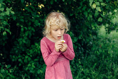Cute beautiful blonde Caucasian girl in red pink dress guessing fortune on white daisy flower. Happy child kid wondering future on chamomile tearing petals. Lifestyle candid childhood.の写真素材