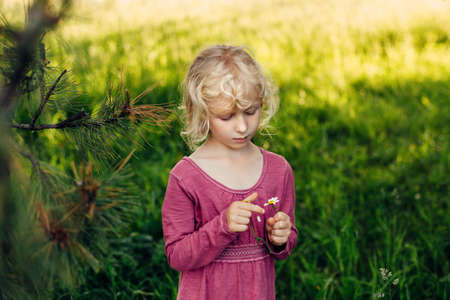 Cute beautiful blonde Caucasian girl in red pink dress guessing fortune on white daisy flower. Happy child kid wondering future on chamomile tearing petals. Lifestyle candid childhood.の写真素材
