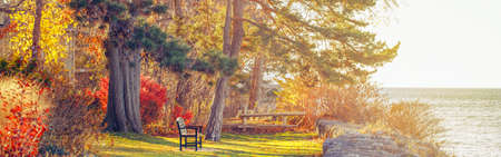Beautiful autumn fall forest landscape with trees branches and red yellow leaves on the ground. Park with one lonely old bench on bank shore near water lake. Web header banner for website.の写真素材
