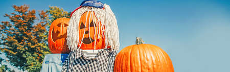 Seasonal Halloween holiday autumn fall scary decoration. Carved horrible faces from fresh harvest...