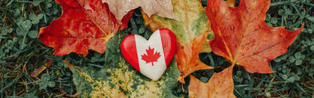 Heart shape wooden national Canadian flag symbol lying on ground in autumn fall red yellow orange maple leaves. Web banner header for website. Autumnal season in Canada country.の写真素材