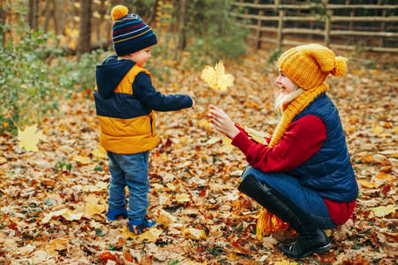 Mom and son gathering yellow orange fallen leaves. Caucasian young mother playing with cute adorable toddler boy in autumn fall park outdoor. Family activity outside. Seasonal concept. の写真素材