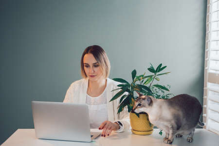 Caucasian business woman working on laptop computer. Freelancer working remotely on Internet from...