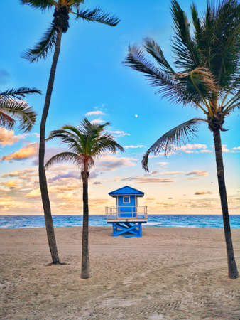 Typical american blue lifeguard house on Florida beach in Hollywood USA. Beautiful tropical Floridian landscape with tall palm trees, ocean and lifeguard house at sunset. Popular american landmark.の写真素材