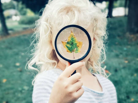 Little child girl holding magnifying glass and covering her face. Wet autumn fall maple leaf on glass with rain water drops. Kid playing outdoor. Happy childhood, education and ecology concept.の写真素材