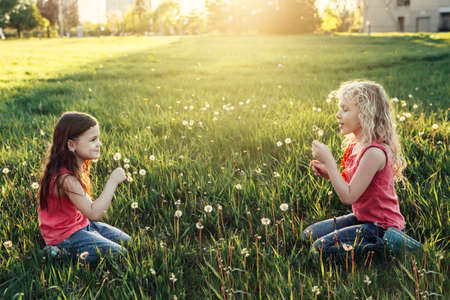Cute adorable Caucasian girls blowing dandelions. Kids sitting in grass on meadow. Outdoor fun summer seasonal children activity. Friends having fun together. Happy childhood lifestyle.の写真素材