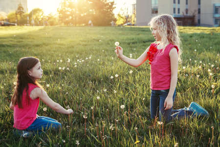 Cute adorable Caucasian girls blowing dandelions. Kids sitting in grass on meadow. Outdoor fun summer seasonal children activity. Friends having fun together. Happy childhood lifestyle.の写真素材