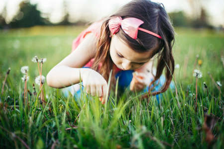 Cute adorable Caucasian girl picking flowers dandelions. Kid sitting in grass on meadow. Outdoor fun summer seasonal children activity. Child having fun. Happy childhood lifestyle.の写真素材