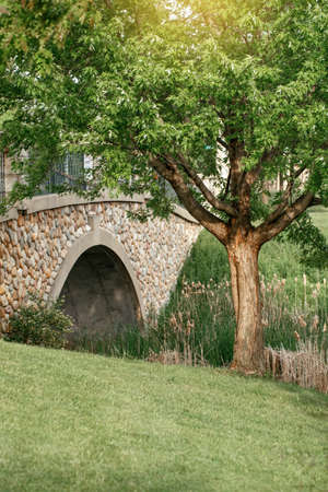 Beautiful landscape day view at with stone bridge at creek pond and large tree. Park forest nature....