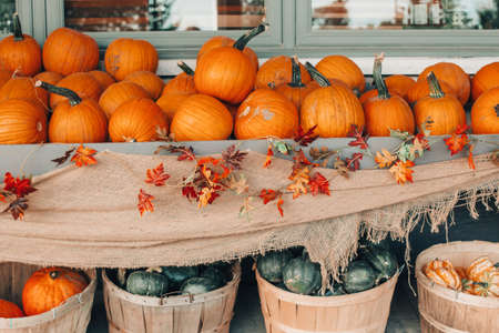 Red, green pumpkins in baskets by store on farm. Autumn fall harvest. Store outdoor decoration. Thanksgiving and Halloween holiday preparations. Colorful fresh seasonal vegetables.の写真素材