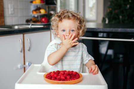 Cute Caucasian baby boy eating ripe red fruits at home. Funny child kid sitting high chair with fresh berries in kitchen. Supplementary healthy finger food for toddler kids.の写真素材