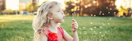 Cute adorable Caucasian girl blowing dandelions. Kid sitting in grass on meadow. Outdoors fun summer seasonal children activity. Child having fun outside. Web banner header.の写真素材