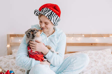 Pet owner celebrating Christmas New Year holiday alone. Young woman in Santa hat hugging cute miniature Australian shepherd puppy dog pet. Holiday celebration together with furry little friendの写真素材