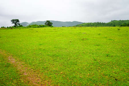 Greenary Mountain Valley of Daringbadi in Odisha