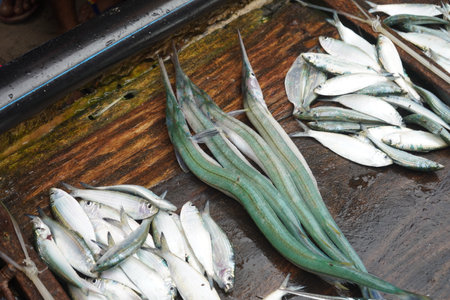 Fresh fish catching from sea and selling at puri sea beach