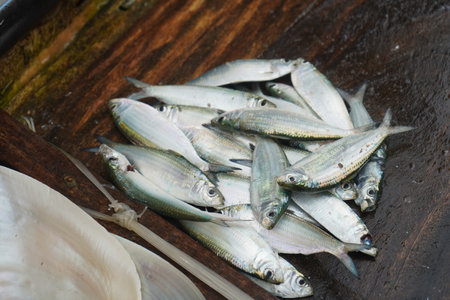 Fresh Fish at fish market at puri sea beach