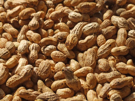 peanutsの写真素材