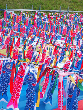 Koinobori  carp streamer for celebrating childrens  day in Japanの写真素材