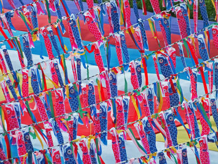  Koinobori  carp streamer for celebrating childrens  day in Japanの写真素材