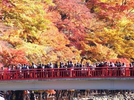 viewing of maples in central Japan Korankei Aichi のeditorial素材