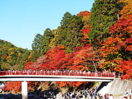 viewing of maples in central Japan Korankei Aichi のeditorial素材