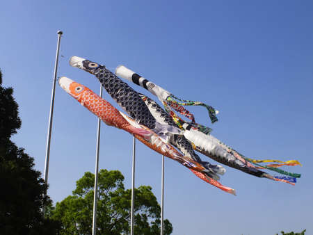 Carp streamerの写真素材