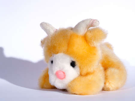 toy on a white backgroundの写真素材