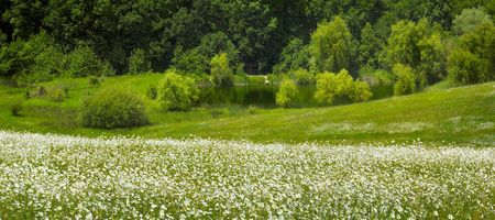 panoramic photo nature wood lakeの写真素材