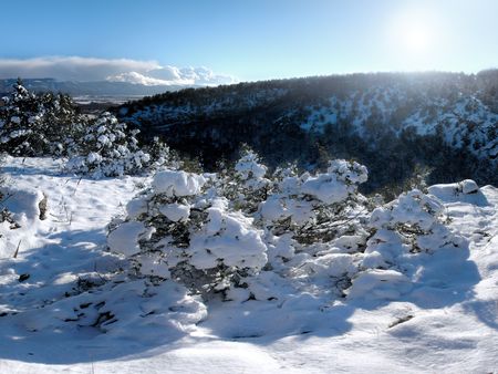 Snow wood on a background of mountainsの写真素材