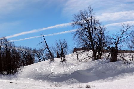 Snow wood on a background of mountainsの写真素材