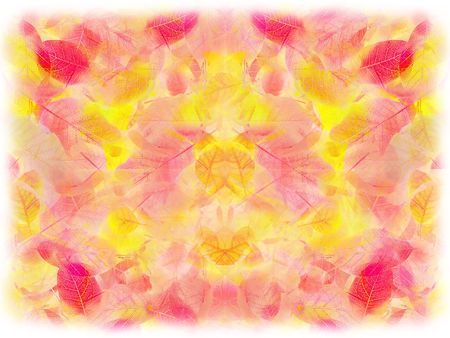 texture autumn leavesの写真素材