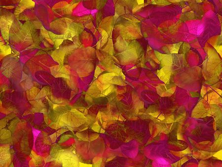 texture autumn leavesの写真素材