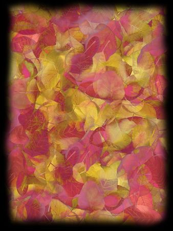 texture autumn leavesの写真素材