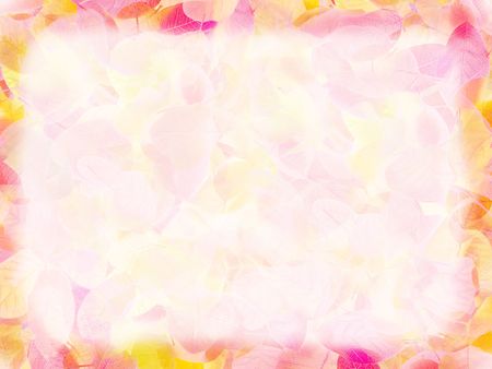 texture autumn leavesの写真素材