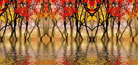 In this photo the beautiful autumn wood is shownの写真素材