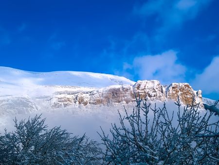 Winter beautiful woodの写真素材