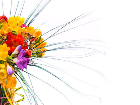 flower on a white backgroundの写真素材