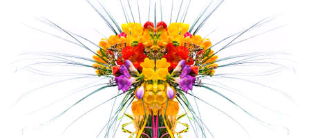 flower on a white backgroundの写真素材