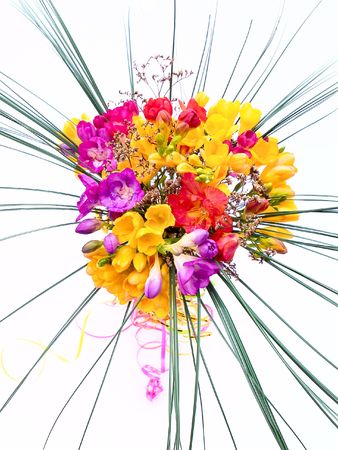 flower on a white backgroundの写真素材