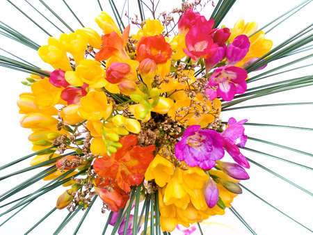 flower on a white backgroundの写真素材