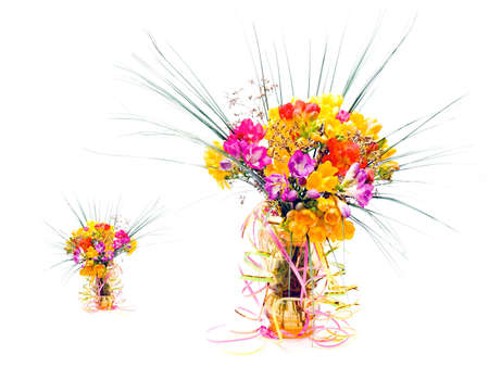 flower on a white backgroundの写真素材
