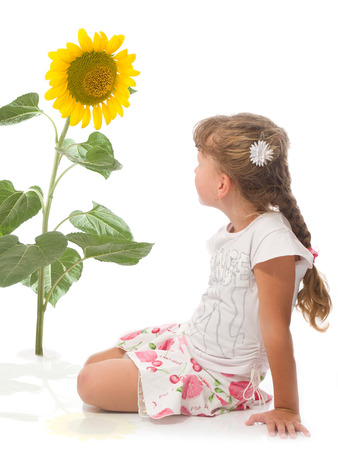 sunflower and childrenの写真素材